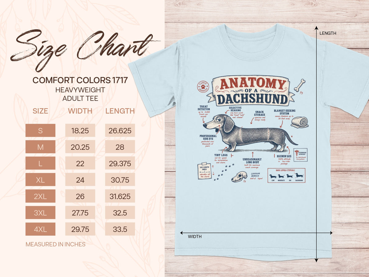 Size chart for a Comfort Colors 1717 heavyweight adult tee with dachshund anatomy illustration.