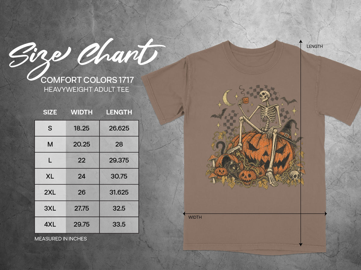 Comfort Colors 1717 heavyweight adult tee size chart showing width and length in inches.