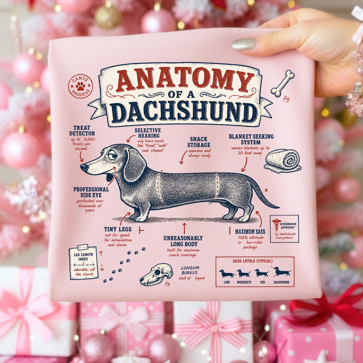 Diagram titled "Anatomy of a Dachshund" with humorous descriptions of dachshund traits.