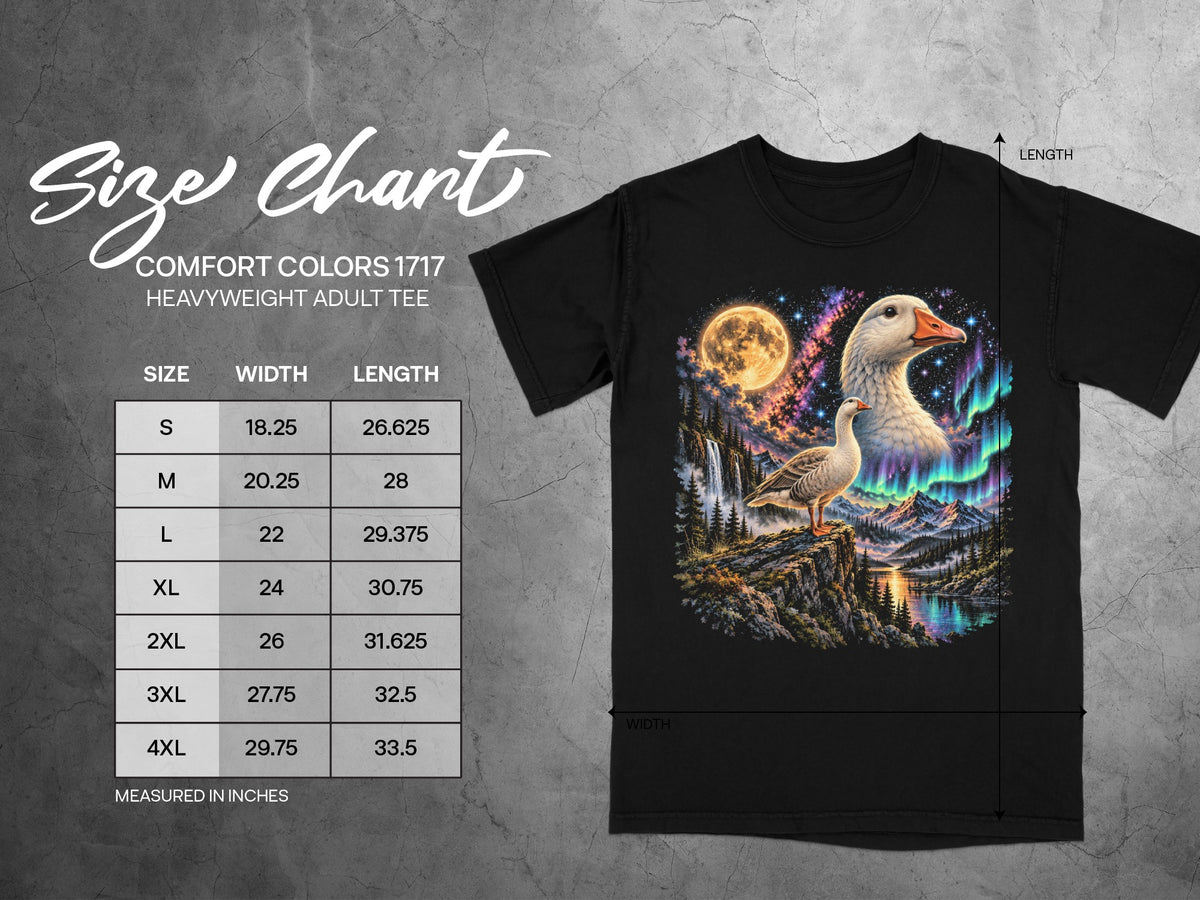 Black t-shirt featuring geese against a vibrant moonlit aurora borealis landscape. Includes size chart.