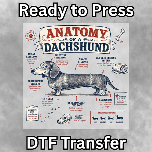 Anatomy of a Dachshund DTF Transfer- 064