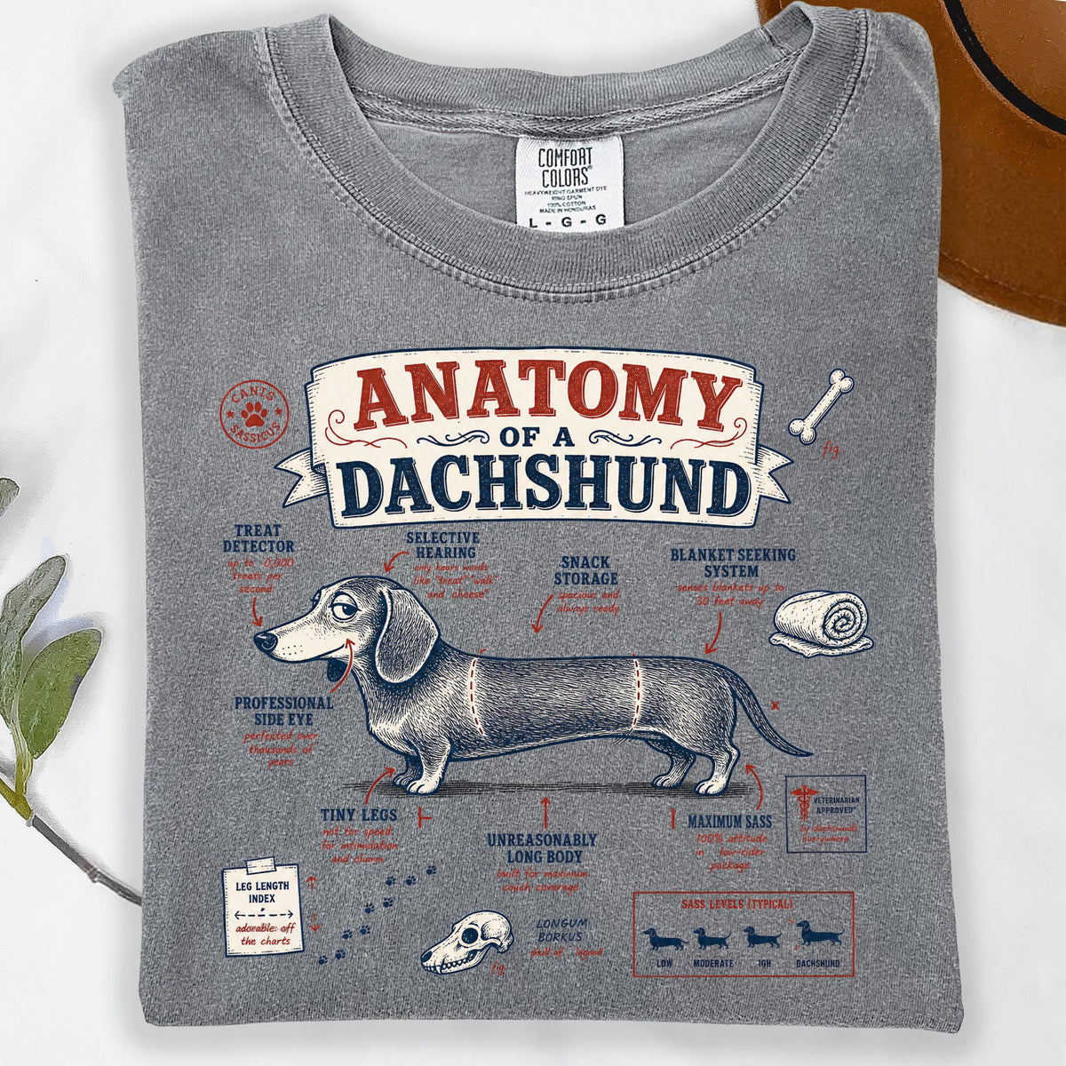 Gray t-shirt with "Anatomy of a Dachshund" graphic, featuring a detailed illustration and humorous labels.