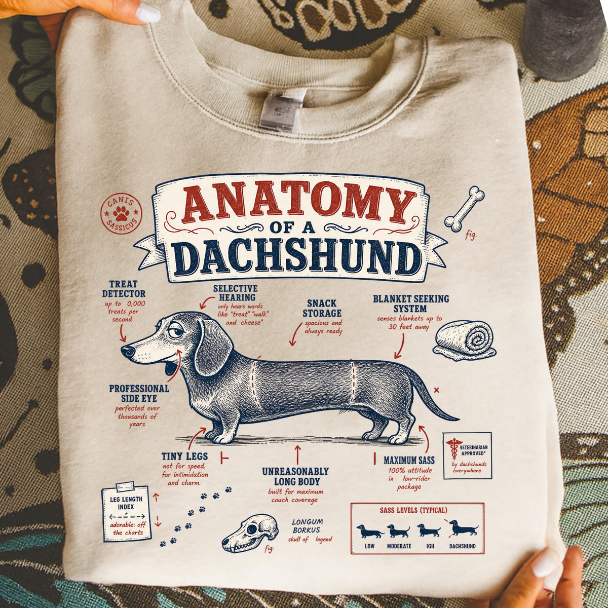 Anatomy of a Dachshund graphic featuring a detailed illustration with humorous labels.