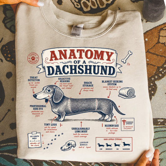 Anatomy of a Dachshund graphic featuring a detailed illustration with humorous labels.