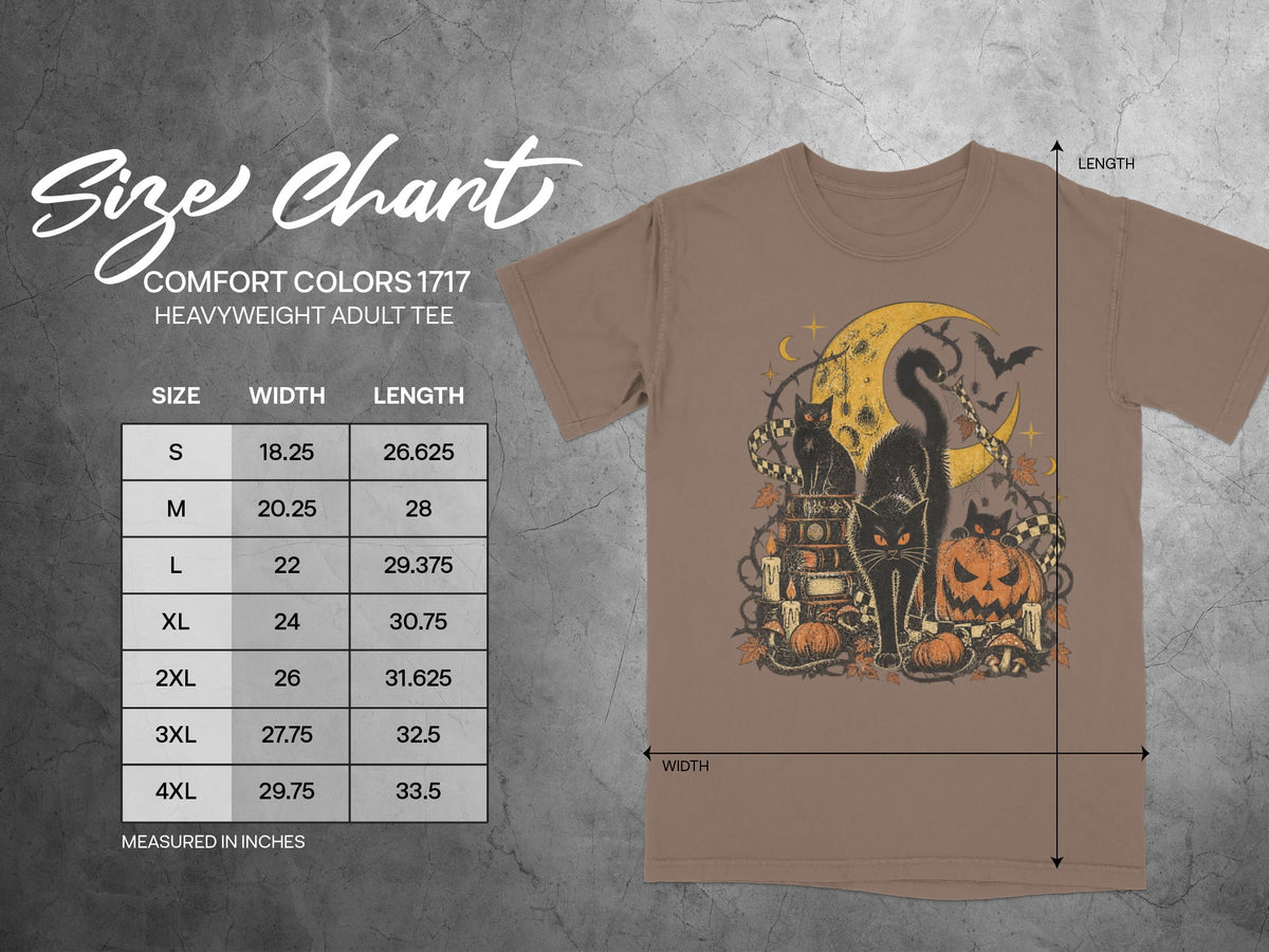 Comfort Colors 1717 heavyweight adult tee size chart with width and length measurements in inches.